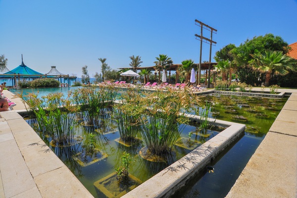 Edde Sands on Sunday